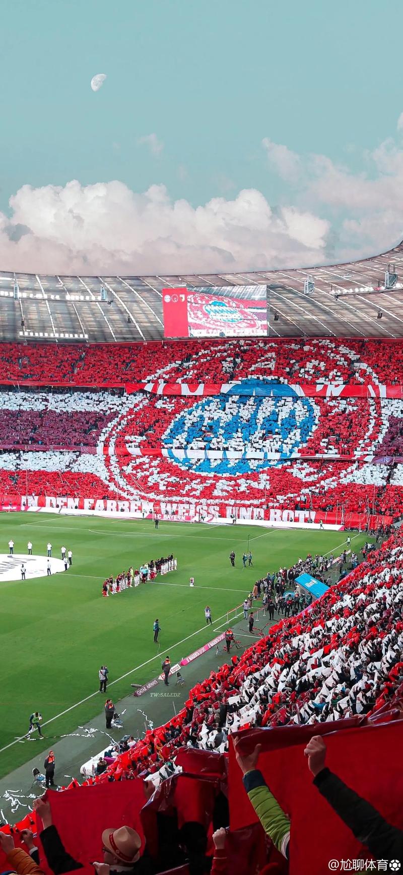 国际排联通报！4场全部0-25 越南女排违规用人 中国女排赛程有变